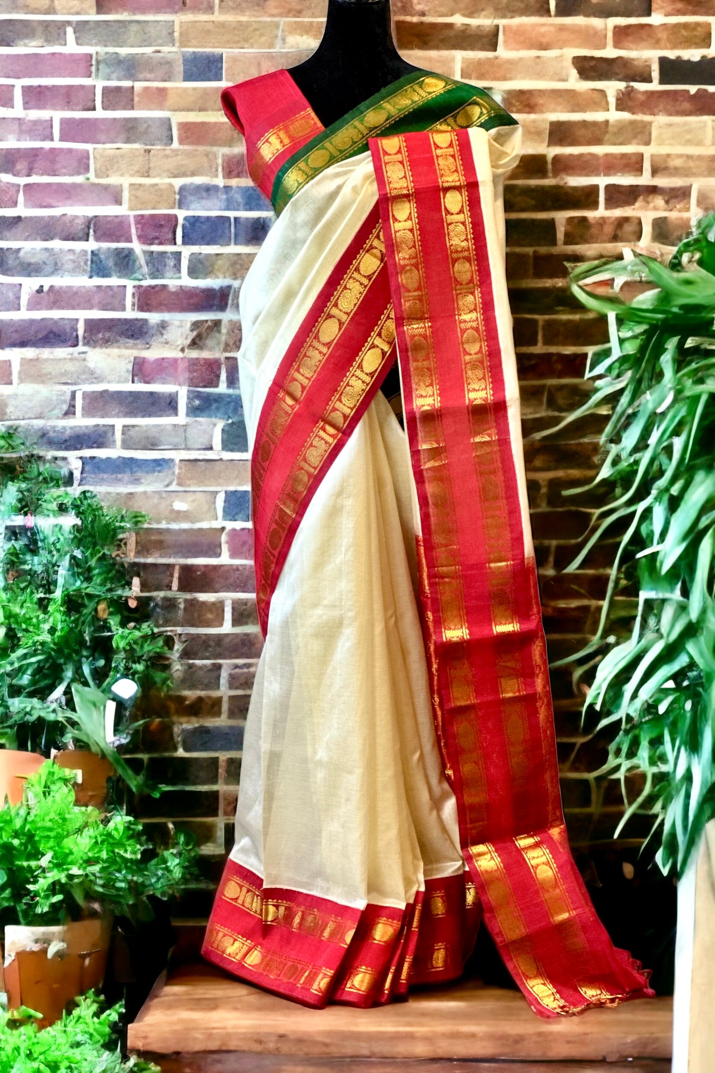 Silk Cotton Saree - AW1231SC