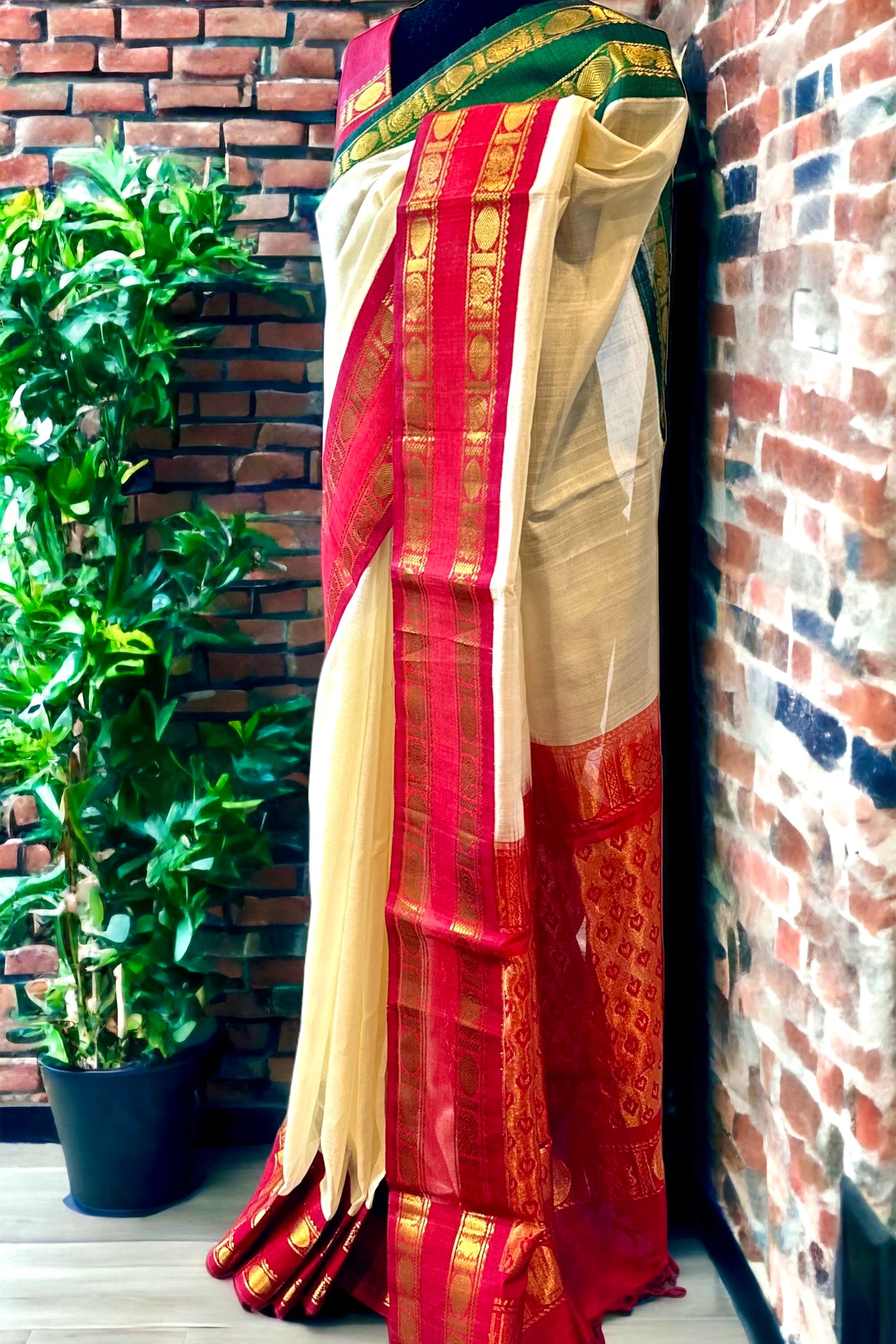 Silk Cotton Saree - AW1231SC
