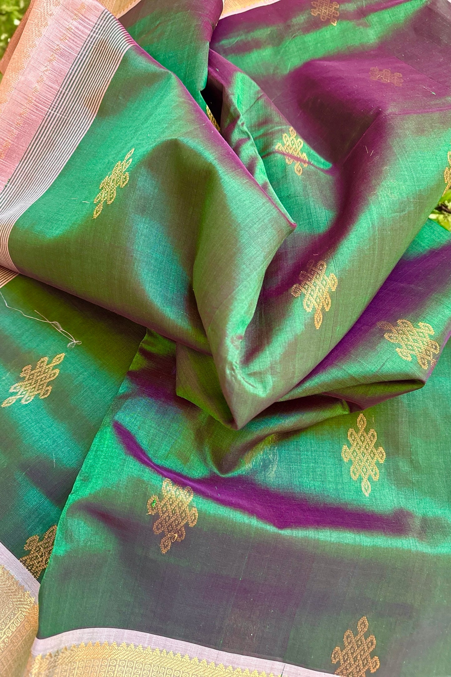 Silk Cotton Saree - AW1494SC