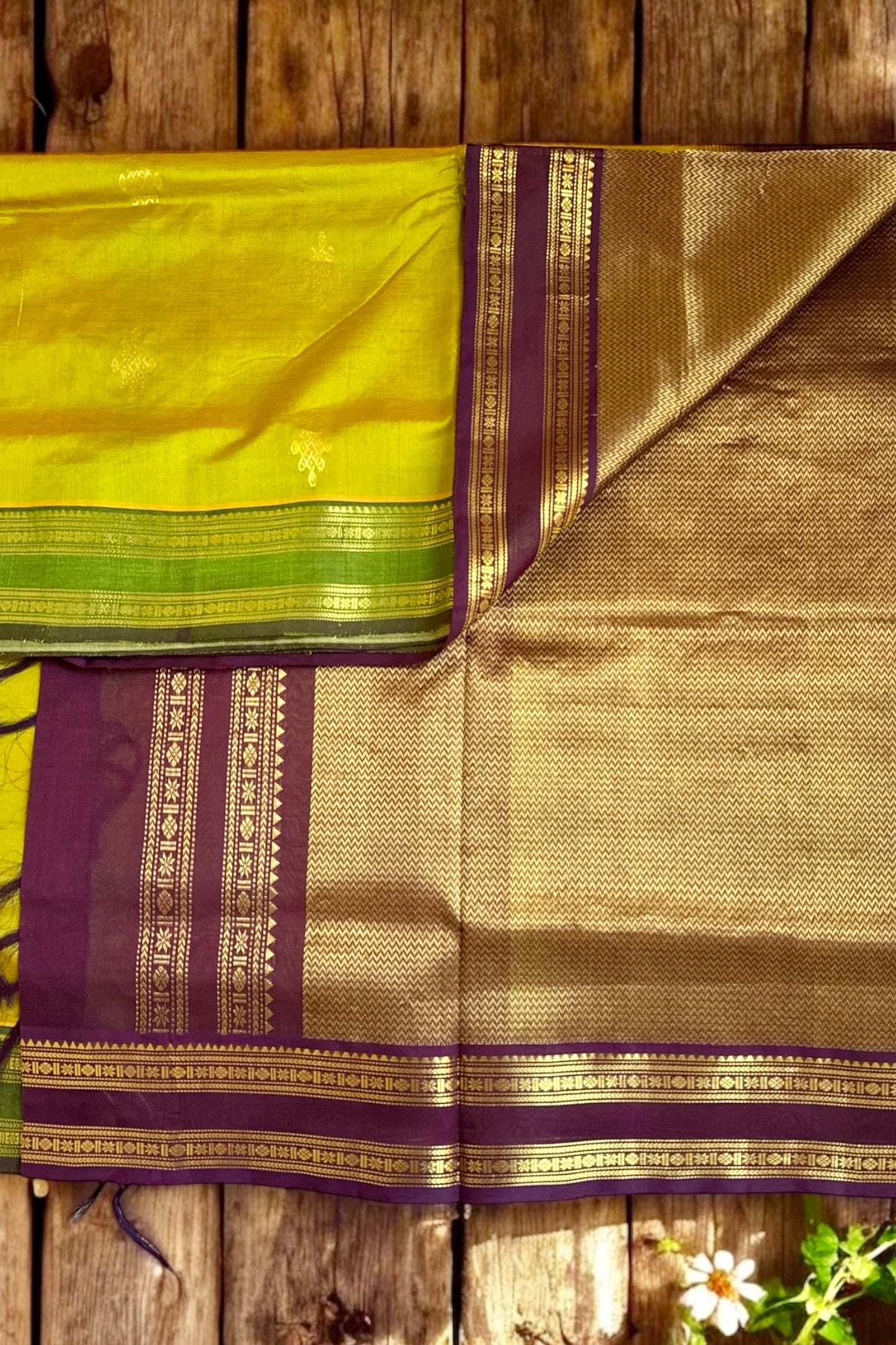 Silk Cotton Saree - AW1499SC