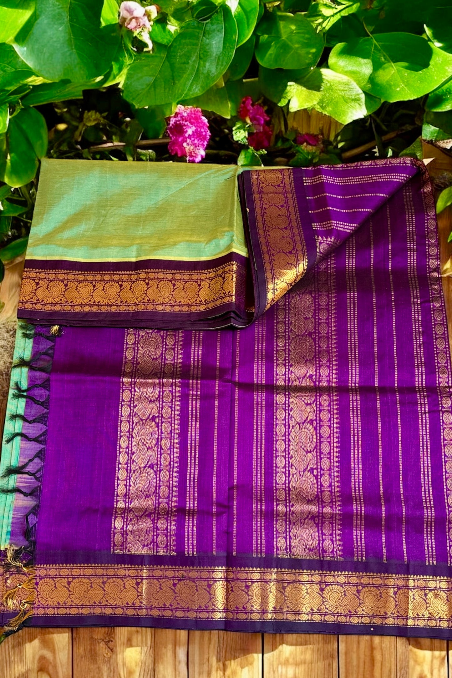 Silk Cotton Saree - AW1512SC